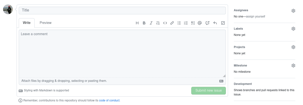 A screenshot of a blanck GitHub Issue editor